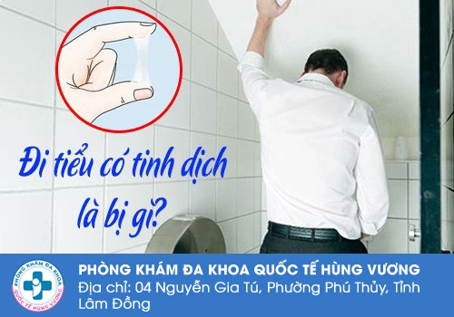 Đi tiểu có tinh dịch là bị làm sao?