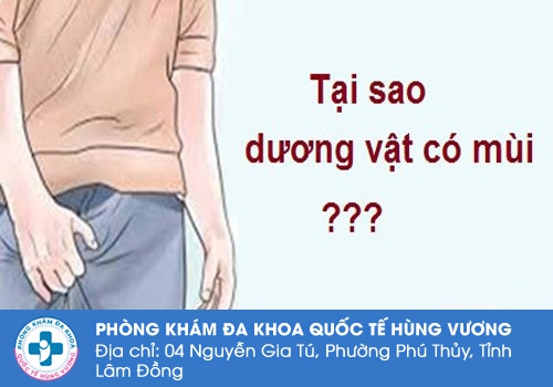 Nguyên nhân khiến dương vật có mùi hôi khó chịu Tại sao dương vật có mùi hôi ?