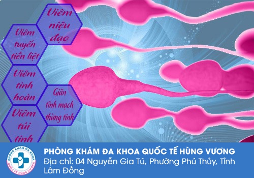 Các bệnh lý có thể dẫn đến tinh trùng có màu hồng